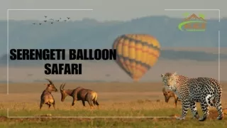 Serengeti Balloon Safaris: Your Guide to an Aerial Adventure