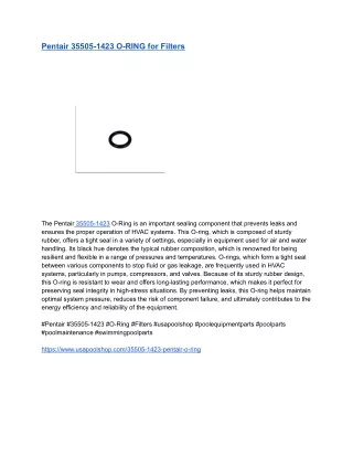 Pentair 35505-1423 O-RING for Filters