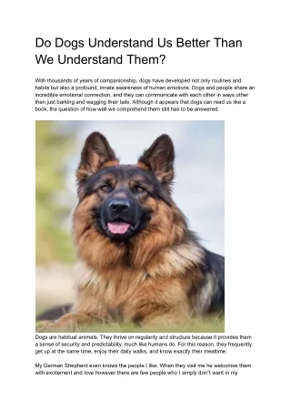 Do Dogs Understand Us Better Than We Understand Them?