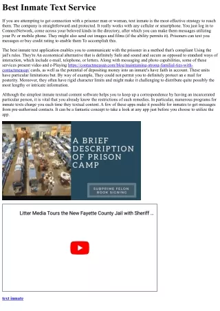 Ideal Inmate Textual content Service