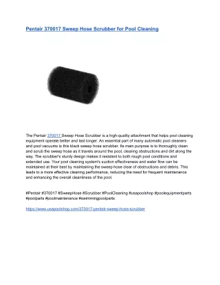 Pentair 370017 Sweep Hose Scrubber for Pool Cleaning