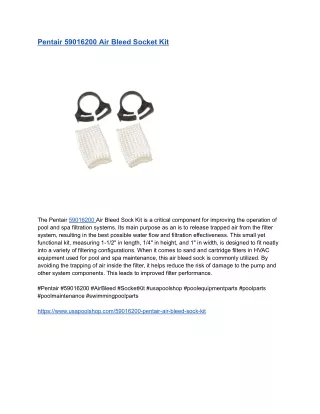 Pentair 59016200 Air Bleed Socket Kit