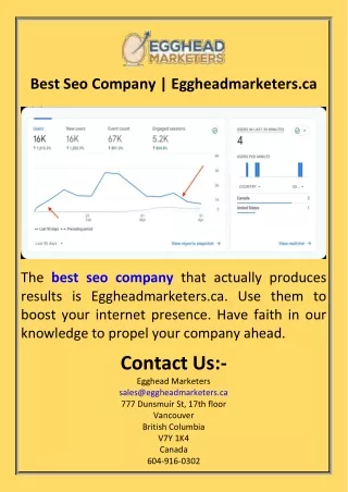 Best Seo Company  Eggheadmarketers.ca