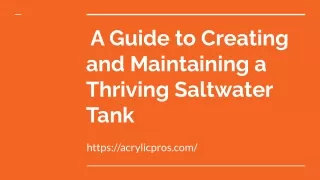 A Guide to Creating and Maintaining a Thriving Saltwater Tank
