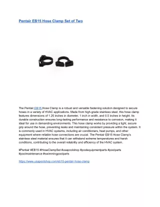 Pentair EB15 Hose Clamp Set of Two