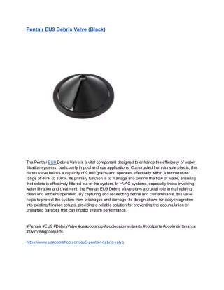 Pentair EU9 Debris Valve (Black)