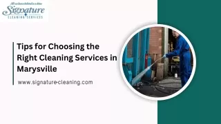 Tips for Choosing the Right Cleaning Services in Marysville