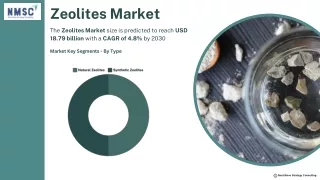 Zeolites Market
