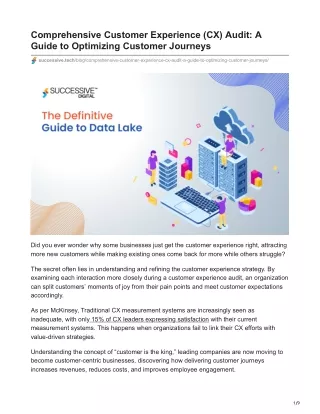 Comprehensive Customer Experience CX Audit A Guide to Optimizing Customer Journeys