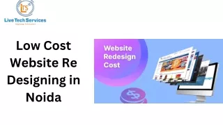 Low Cost Website Re Designing in Noida