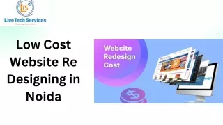 Low Cost Website Re Designing in Noida