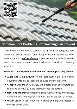 Common Roof Problems Soft Washing Can Prevent