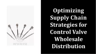 Optimizing Supply Chain Strategies for Control Valve Wholesale Distribution