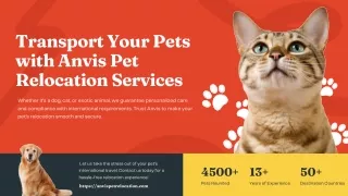 Crate Training Services by Anvis Pet Relocation