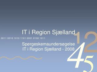 IT i Region Sjælland