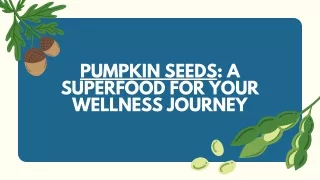 Pumpkin Seeds A Superfood for Your Wellness Journey