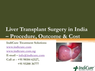 Liver Transplant in India – Procedure, Outcomes and Cost