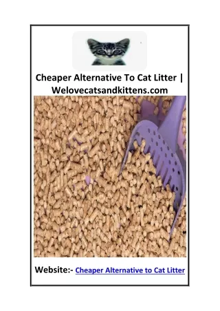 Cheaper Alternative To Cat Litter  Welovecatsandkittens.com