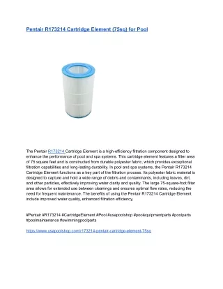 Pentair R173214 Cartridge Element (75sq) for Pool