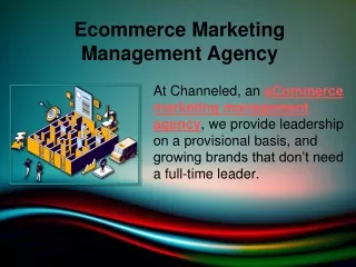 Ecommerce Marketing Management Agency