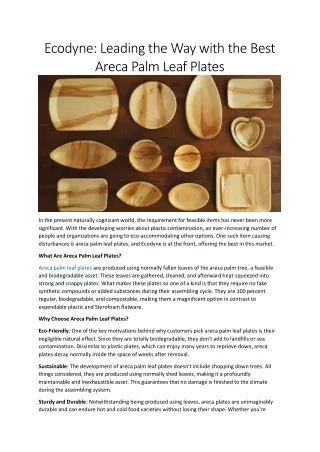 Sustainable Areca Palm Leaf Plates for Eco-Friendly Dining