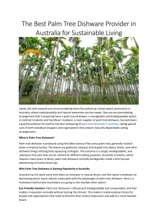 The Best Palm Tree Dishware Provider in Australia for Sustainable Living
