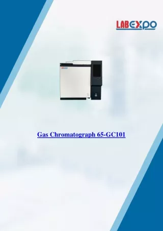 Gas Chromatograph 65-GC101