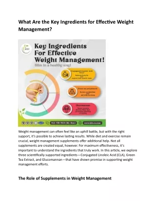 What Are the Key Ingredients for Effective Weight Management