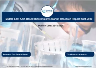 Report_Middle East Acid-Based Biostimulants Market Research Report 2024-2030_2024-10-22_kirti ganesh kurhade