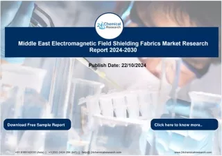 Report_Middle East Electromagnetic Field Shielding Fabrics Market Research Report 2024-2030_2024-10-22_kirti ganesh kurh