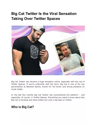 Big Cat Twitter – Why Big Cat Is Trending and Tearing Up Twitter Spaces