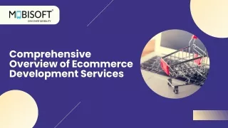 Comprehensive Overview of Ecommerce Development Services