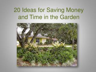 20 Ideas for Saving M oney and Time in the Garden