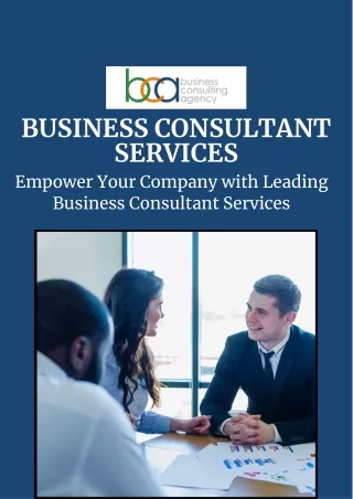 Empower Your Company with Leading Business Consultant Services