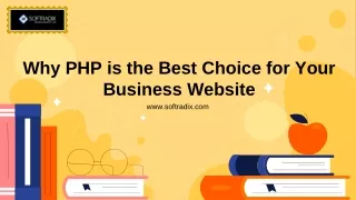 Why PHP is the Best Choice for Your Business Website