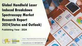 Global Handheld Laser Induced Breakdown Spectroscopy Market Research Report 2024(Status and Outlook)