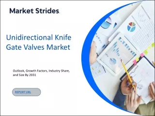 Unidirectional Knife Gate Valves Market