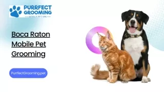 Boca Raton Mobile Pet Grooming