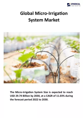 Global Micro-Irrigation System Market