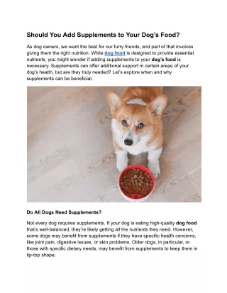 Should You Add Supplements to Your Dog’s Food?