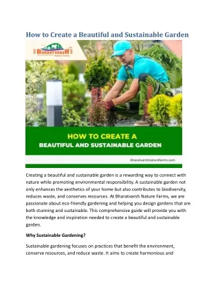 How to Create a Beautiful and Sustainable Garden