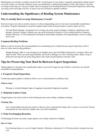 Tips for Maintaining Your Rooftop In Between Professional Assessments