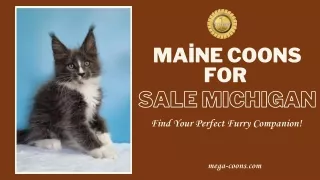 Maine Coons for Sale Near Michigan: Find Your Perfect Furry Companion!