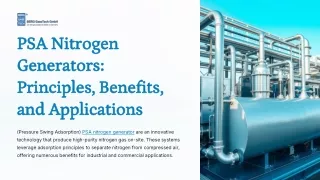 PSA-Nitrogen-Generators-Principles-Benefits-and-Applications