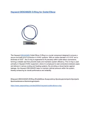 Hayward DEX2400Z5 O-Ring for Outlet Elbow