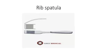 Rib spatula