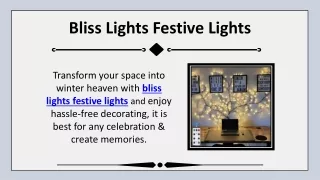 Bliss Lights Festive Lights