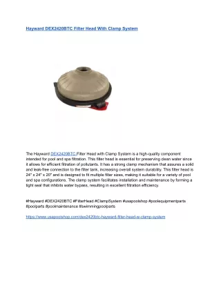 Hayward DEX2420BTC Filter Head With Clamp System