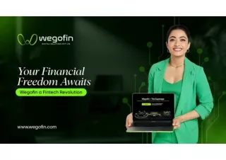 WeGoFin: Tailored Payroll Solutions for Growing Startups
