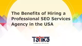 The Benefits of Hiring a Professional SEO Services Agency in the USA